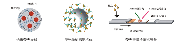 黃曲霉毒素M1熒光定量快速檢測系統(tǒng)