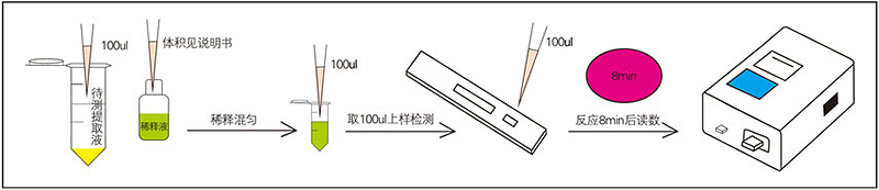 黃曲霉毒素B1熒光定量快速檢測卡檢測步驟