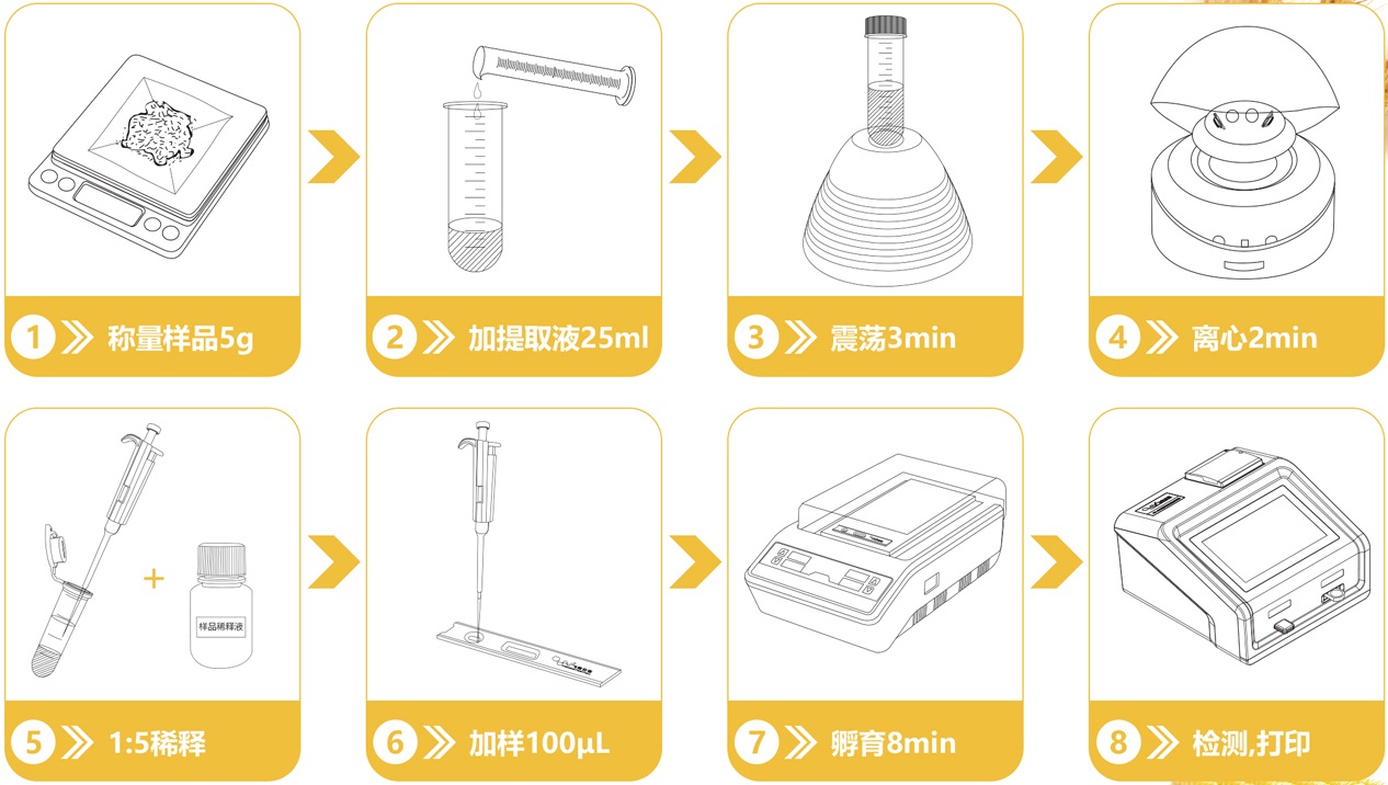 糧食真菌毒素檢測(cè)流程圖