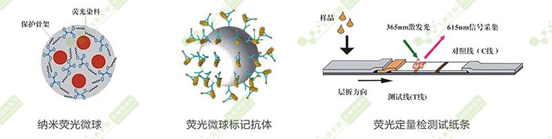 熒光定量快速檢測系統(tǒng)